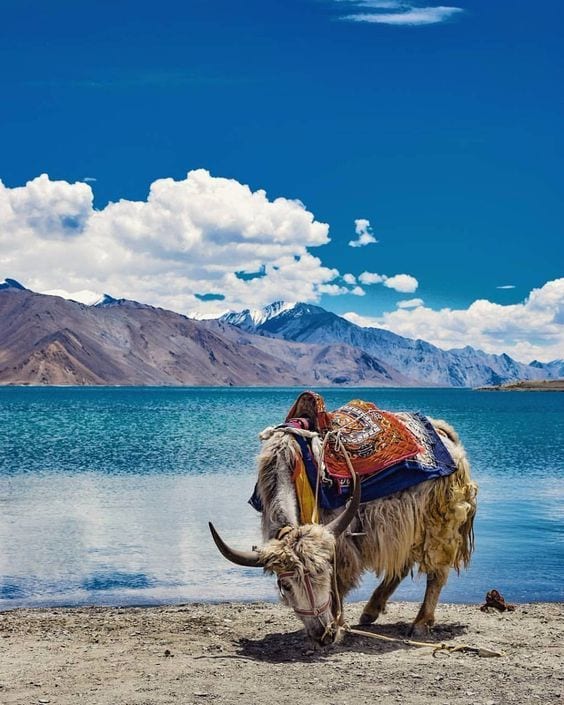 Leh Ladakh Bike Expedition 2026