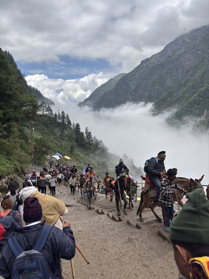 Kedarnath Tungnath & Rishikesh Trip