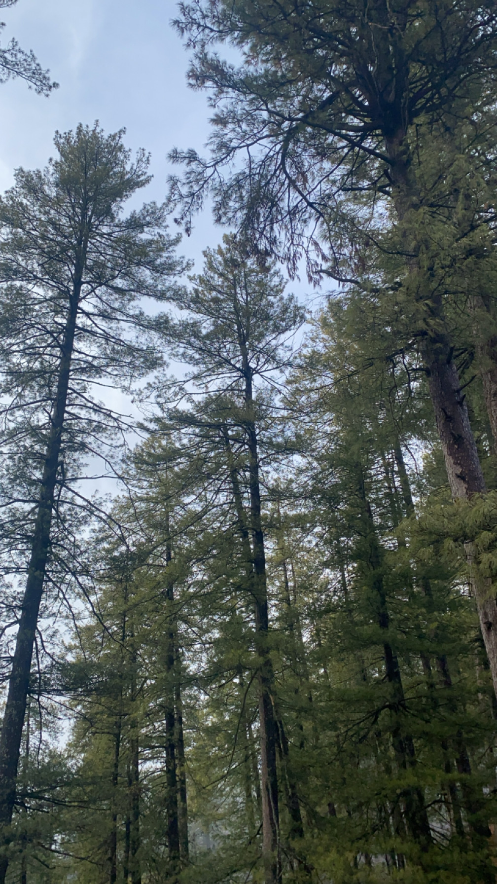 Review photo 2 by Palak Patel