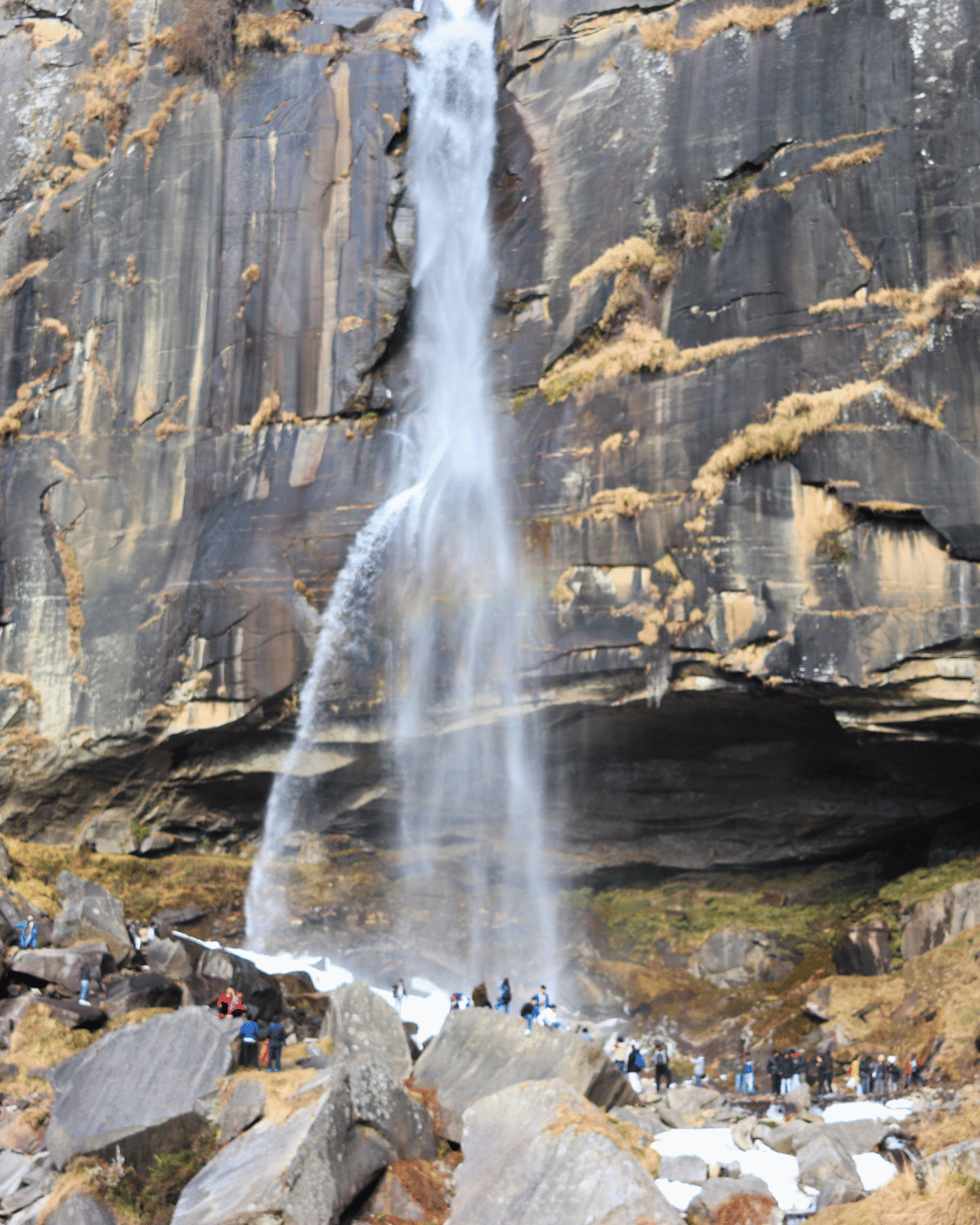 Trip Glimpse 7
