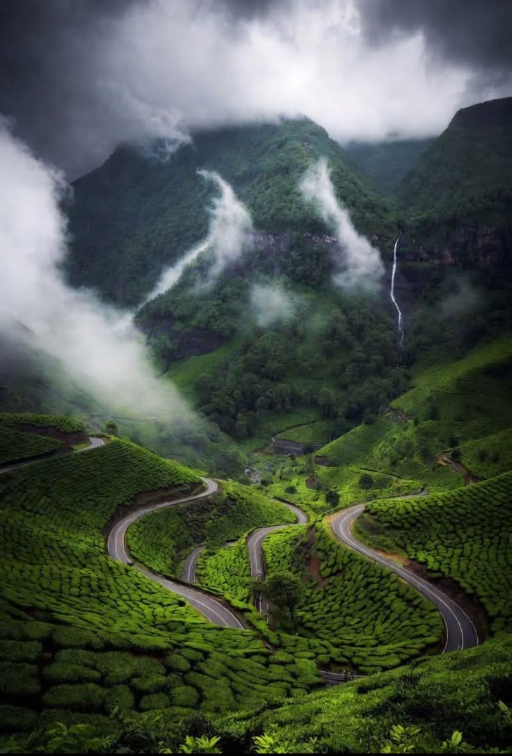 Misty Landscapes
