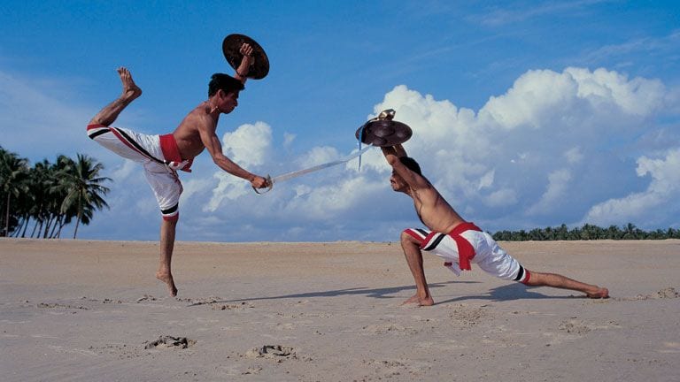 Kalaripayattu martial arts