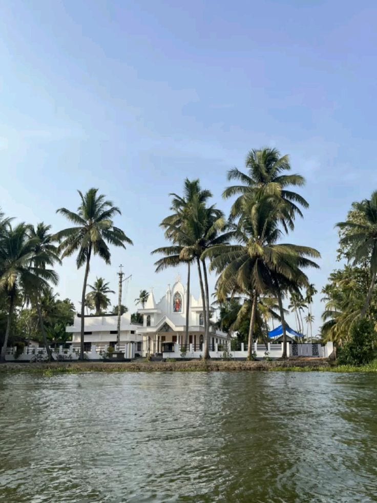 Trip Glimpse 7