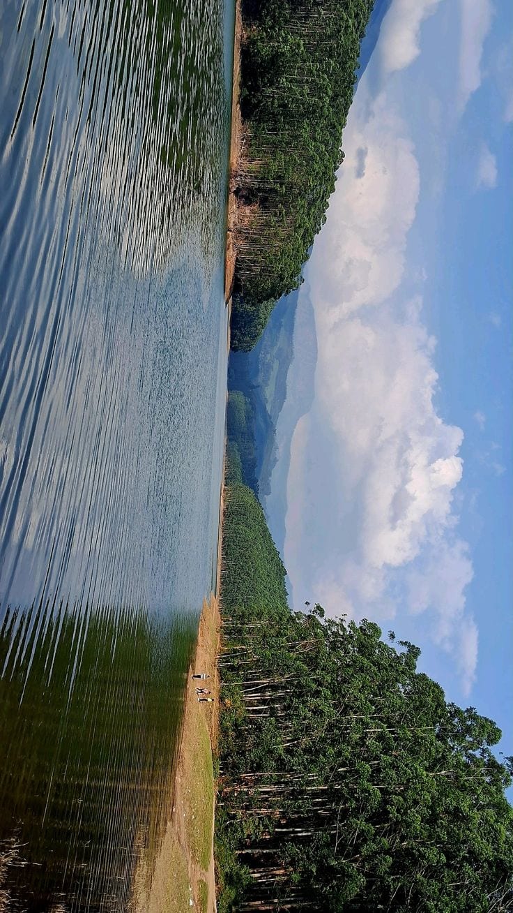 Trip Glimpse 3