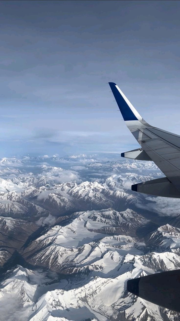 Flight View