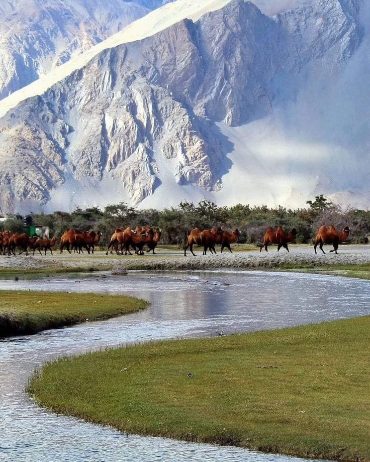 Nubra Valley