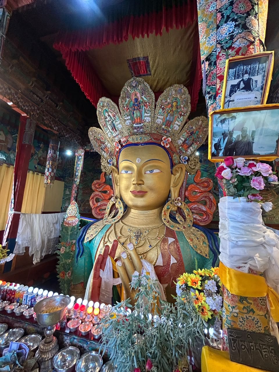 Trip Glimpse 14