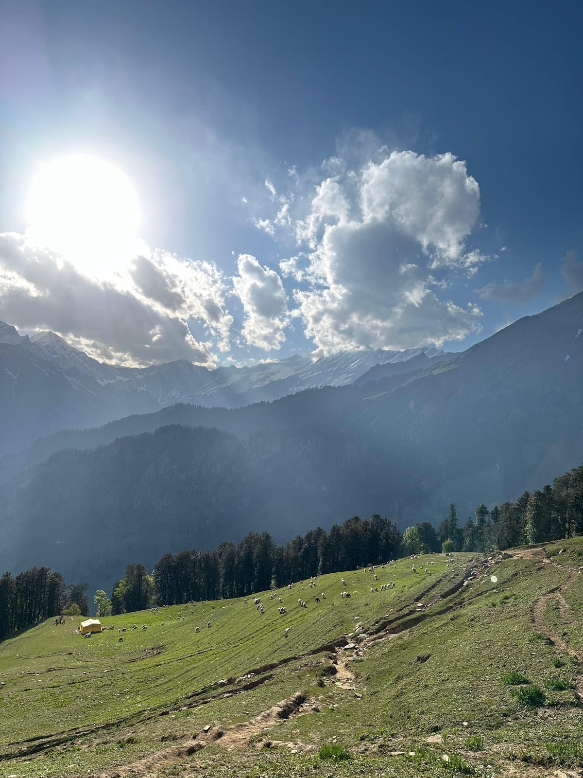 Trek View