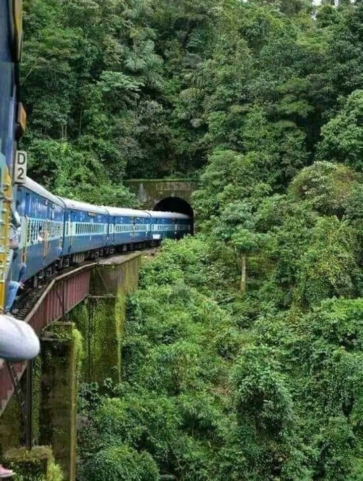 Train journey