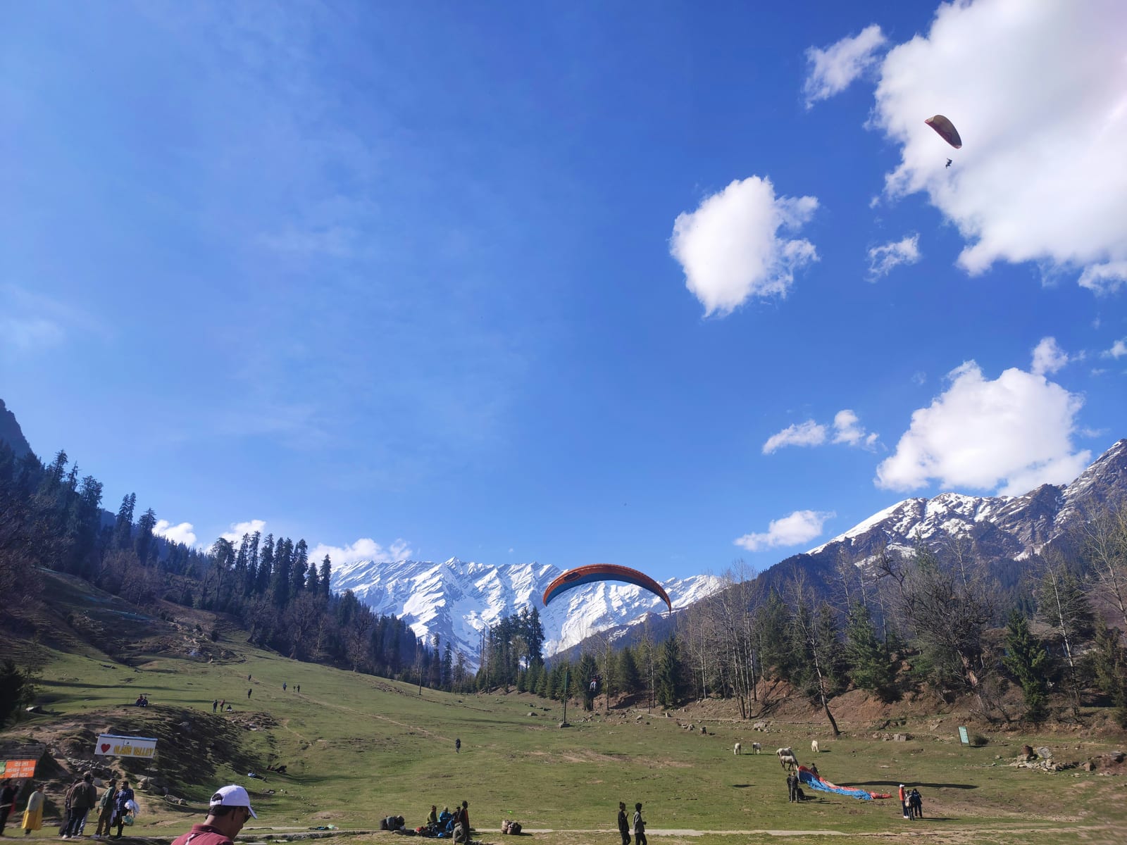 Trip Glimpse 9