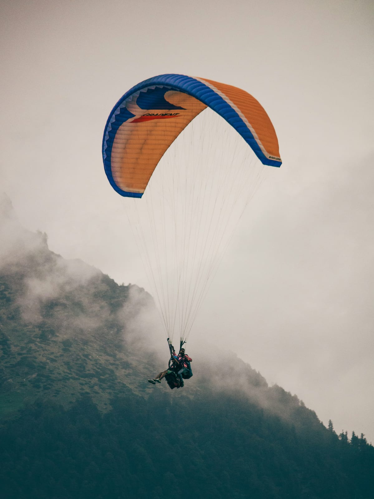 Trip Glimpse 10